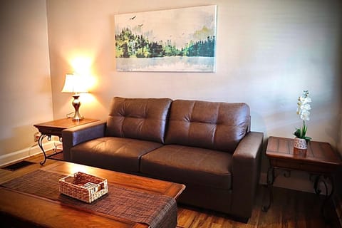 Entire Home/Firm Queen Bed/3 Miles to Downtown Indy House in Indianapolis