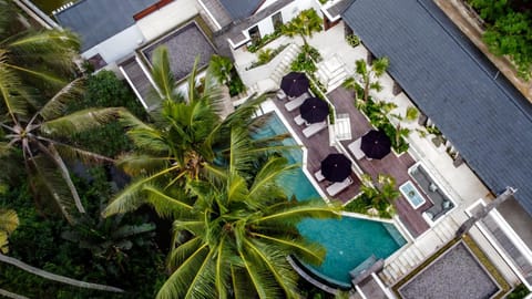 Property building, Bird's eye view, Garden, Garden view, Pool view, Swimming pool, sunbed