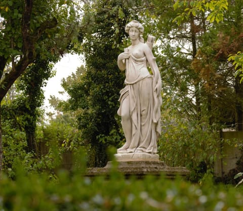 Garden, Garden, Garden view