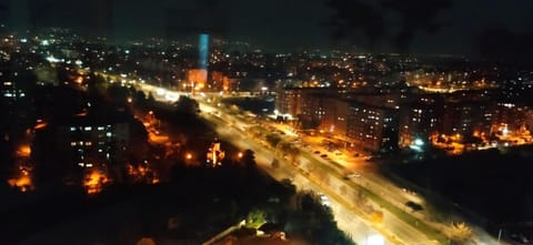 Night, Bird's eye view, View (from property/room), City view, Landmark view, Street view