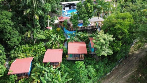 Natural landscape, Garden, Animals