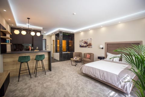 Bed, Kitchen or kitchenette, Living room, Seating area