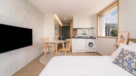 Bed, TV and multimedia, Kitchen or kitchenette, Living room, Dining area, Bedroom, washing machine