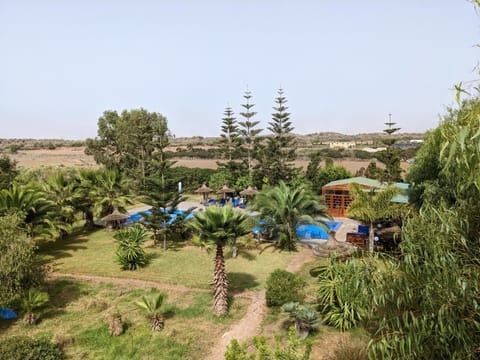 Garden view