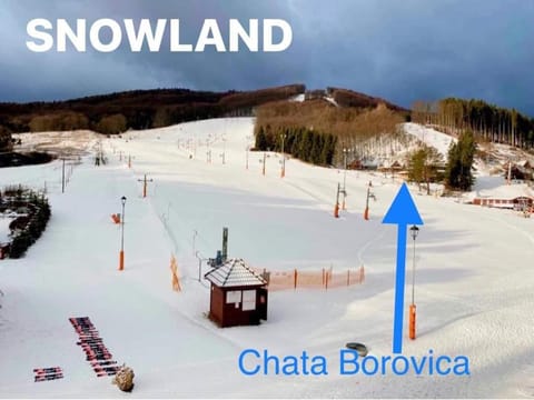 Winter, Skiing, Skiing
