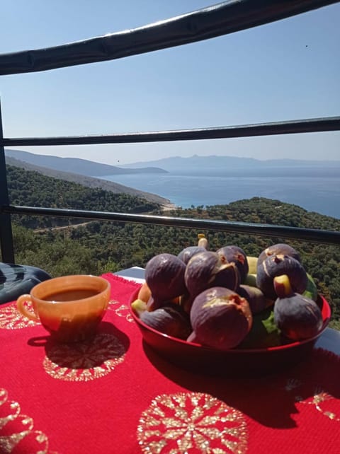 Sea view