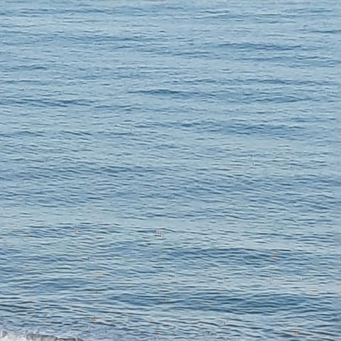 Beach, Sea view