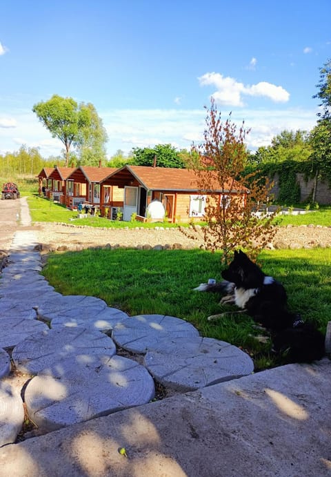 Property building, Natural landscape, Garden