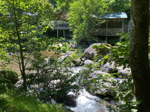 Natural landscape, Garden view