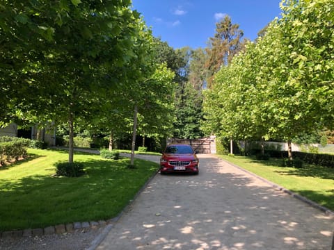 Welness gastenverblijf Carpe Diem House in Limburg (province)