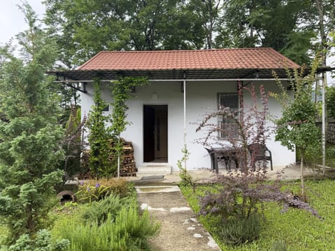 Property building, Garden, Garden view