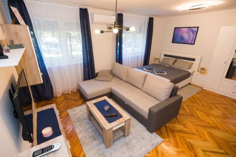 Communal lounge/ TV room, Bed, TV and multimedia, Living room, Photo of the whole room, Seating area, Bedroom, air conditioner