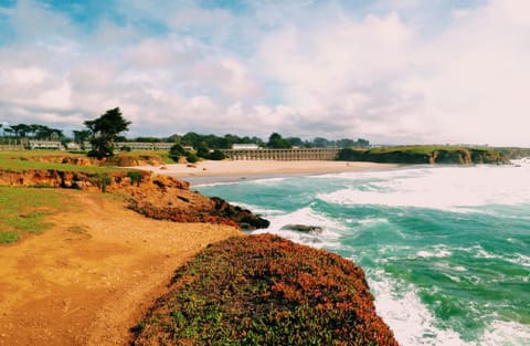 View (from property/room), Area and facilities