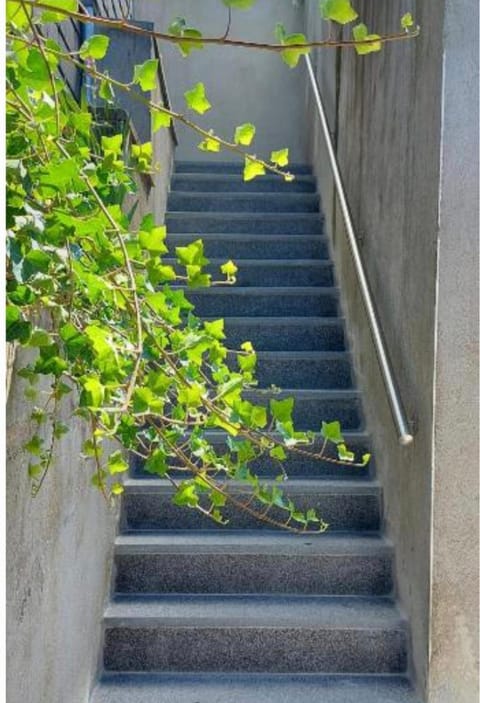 Nazareth logement Un Magnifique logement de vacances House in Wallonia, Belgium