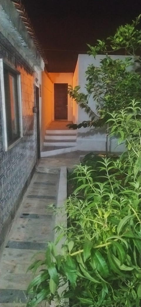 Patio, Garden, Balcony/Terrace