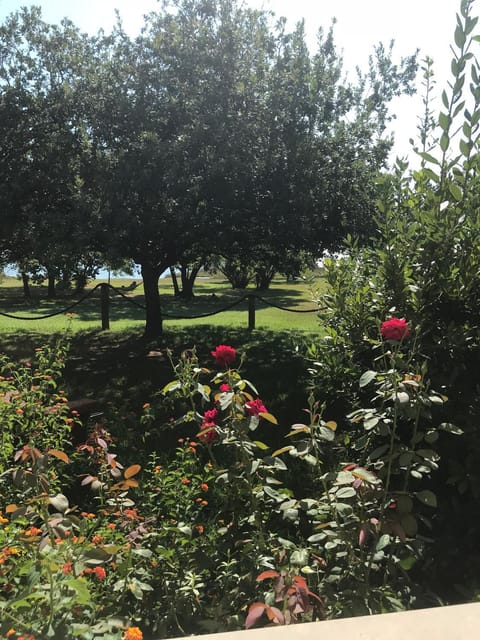 Residence Scopa Marina Apartment in Poggio-Mezzana