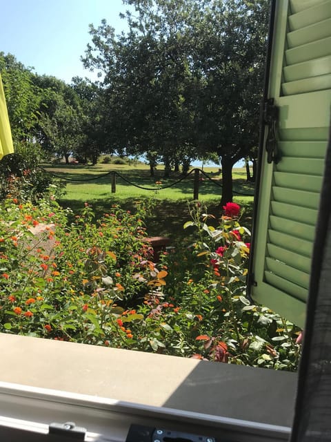 Residence Scopa Marina Apartment in Poggio-Mezzana