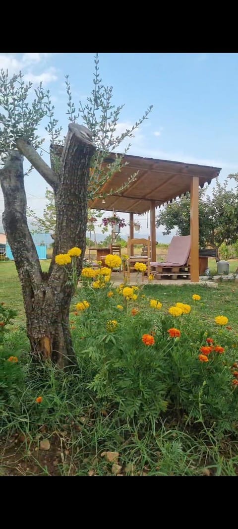 Ballkan B&B 1 Bed and Breakfast in Montenegro