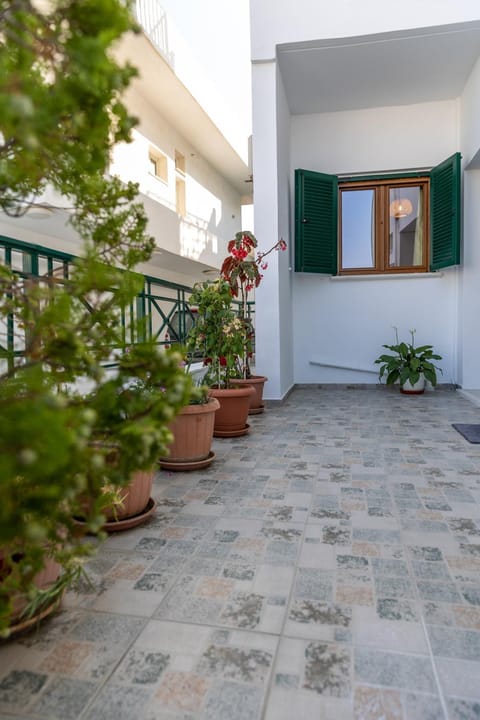 Facade/entrance, Garden