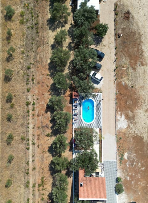 Apartments Olea Apartment in Biograd na Moru