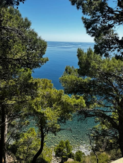 Natural landscape