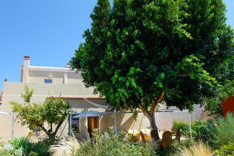 Property building, Patio, Garden