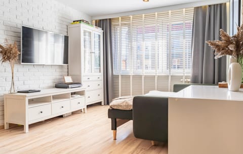 TV and multimedia, Photo of the whole room, Seating area