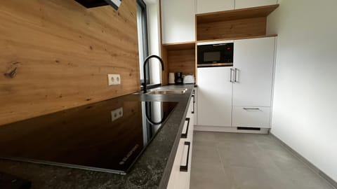 Kitchen or kitchenette, kitchen