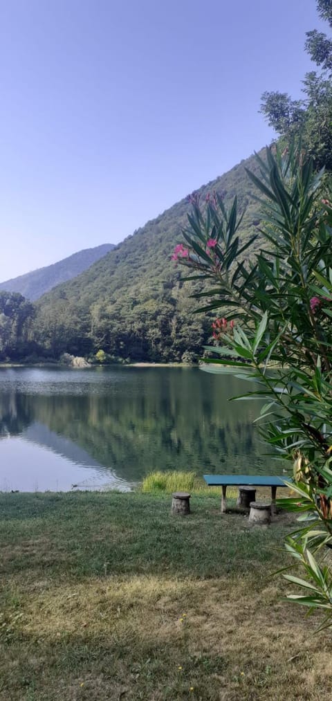 Day, Lake view, Mountain view