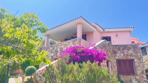 Property building, Spring, Garden, Garden view