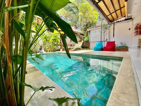 Patio, Day, Garden, Garden view, Pool view, Swimming pool, sunbed
