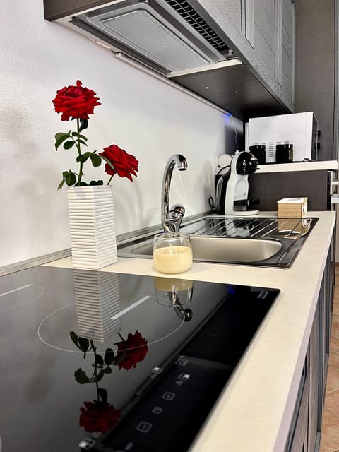 Kitchen or kitchenette, dishwasher, minibar, pet friendly, stove, toaster