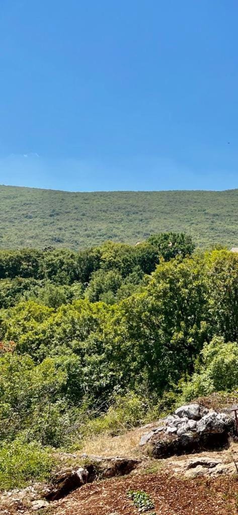 Vikendica Oliver House in Split-Dalmatia County