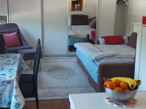 Indy Apartment in Federation of Bosnia and Herzegovina