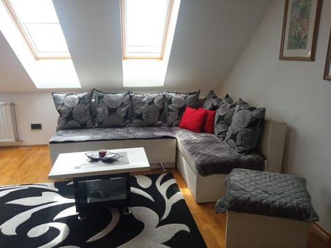 Apartman Teodora Apartment in Zlatibor