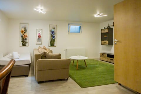 Bed, Living room, Photo of the whole room, Decorative detail, Seating area, furniture, towels, towels