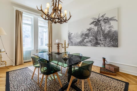 LUXUEUX APPARTEMENT CENTRE VILLE Apartment in Strasbourg