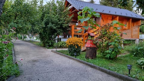 Property building, Facade/entrance, Garden