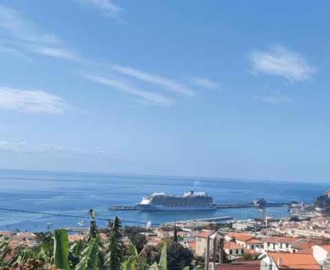 Nearby landmark, Natural landscape, City view, Sea view