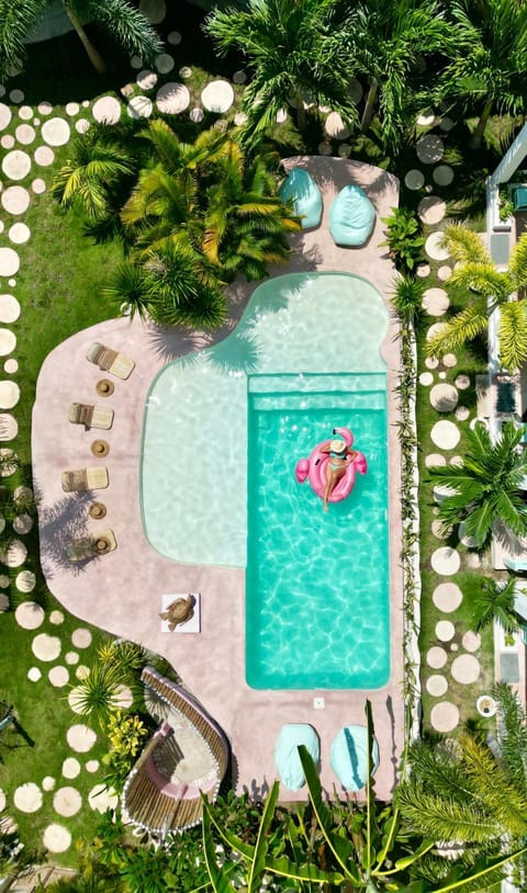 Day, Garden, Garden view, Pool view, Swimming pool, sunbed