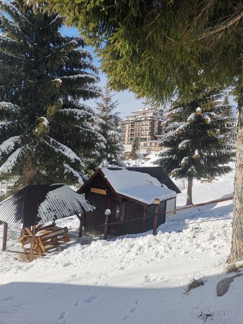 Property building, Day, Natural landscape, Winter