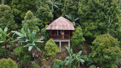 Day, Natural landscape