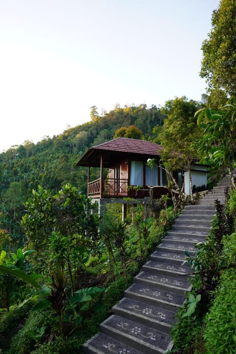 Property building, Garden