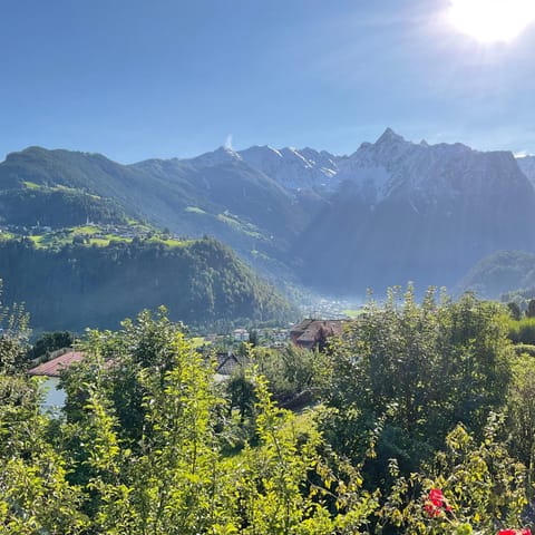 View (from property/room)