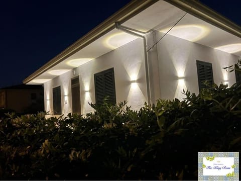 Property building, Night, Garden view