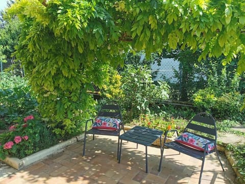 Patio, Garden