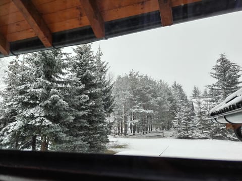 Apartman na brdu Apartment in Zlatibor