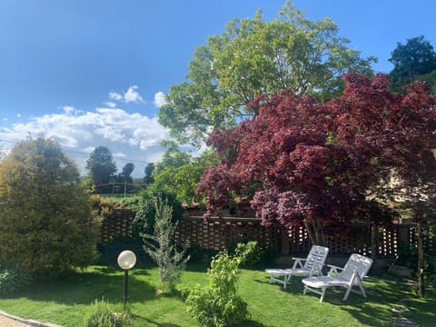 Day, Natural landscape, Garden, Garden view, sunbed
