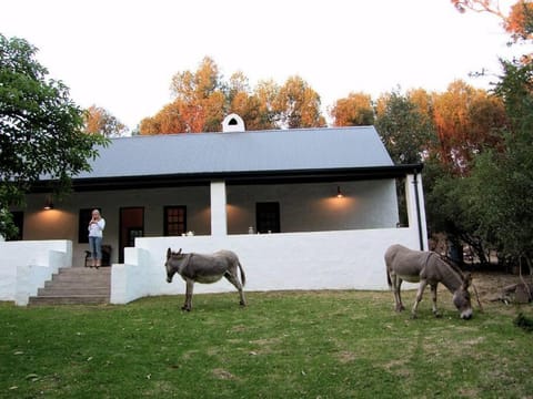 Property building, Animals