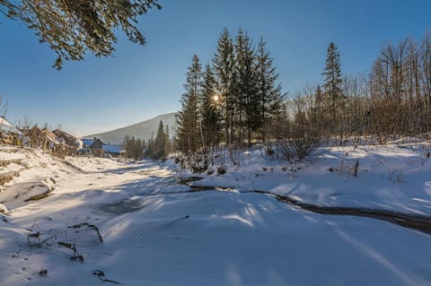 Natural landscape, Winter